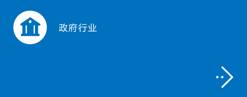政府